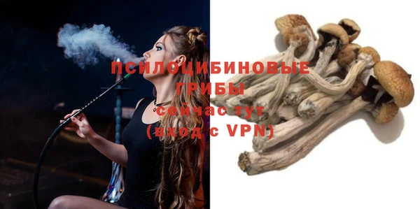 синтетический гашиш Алексеевка