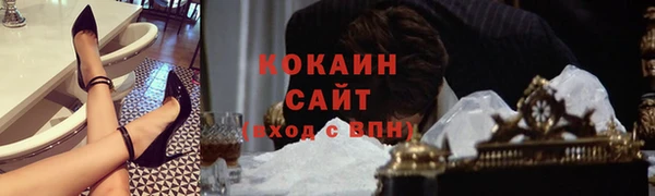 твердый Алексин