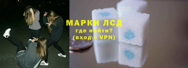 прущие грибы Абинск