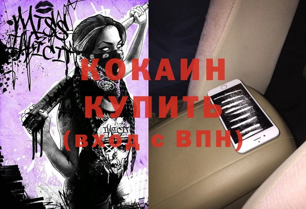 шишки Мегион