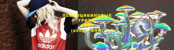 твердый Алексин