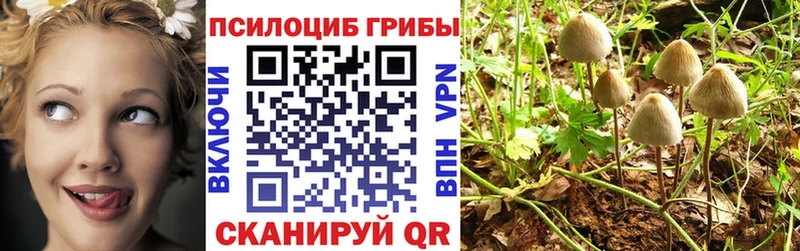 Галлюциногенные грибы Magic Shrooms  Новомичуринск 